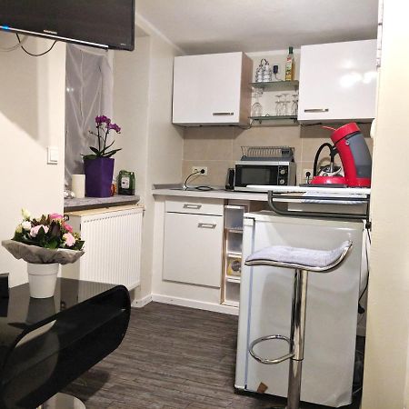 Apartment Bina In トリーア エクステリア 写真