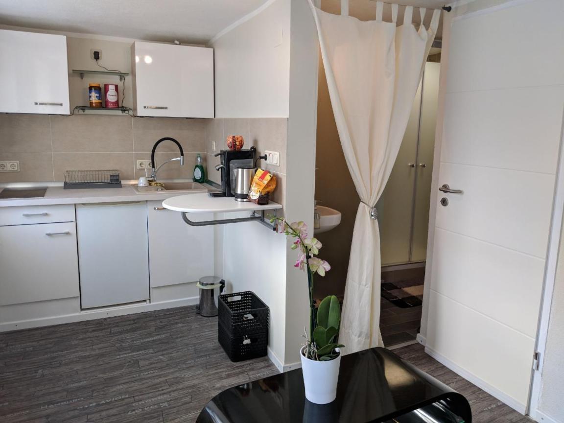 Apartment Bina In トリーア エクステリア 写真