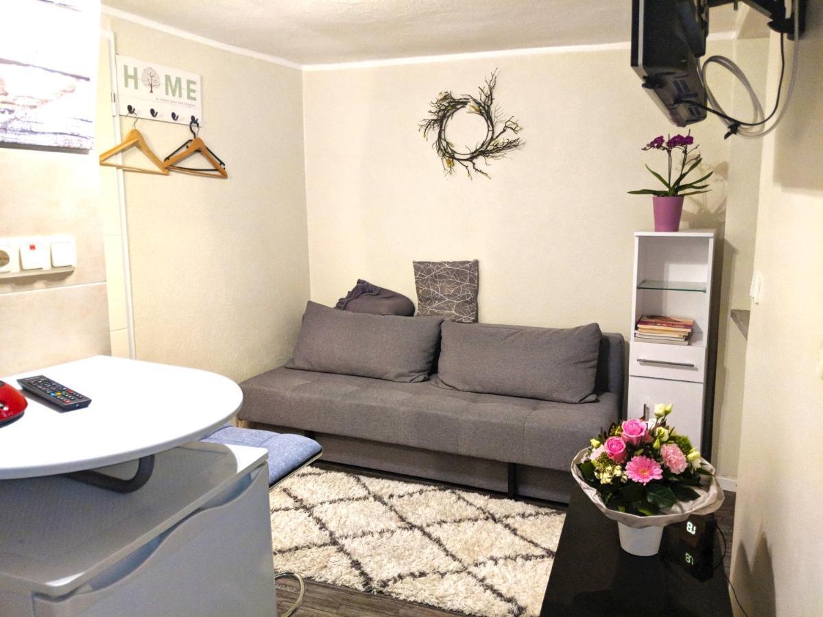 Apartment Bina In トリーア エクステリア 写真